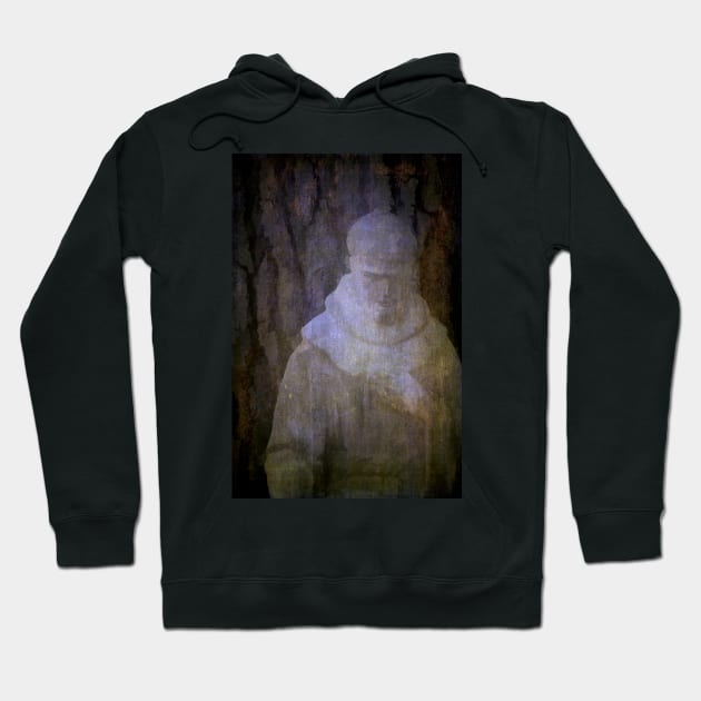 Saint Francis Hoodie by secretgardener